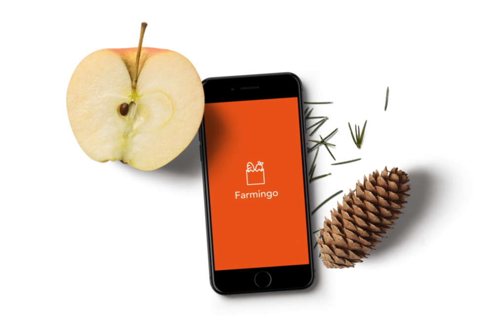 Farmingo: An In-store Grocery app